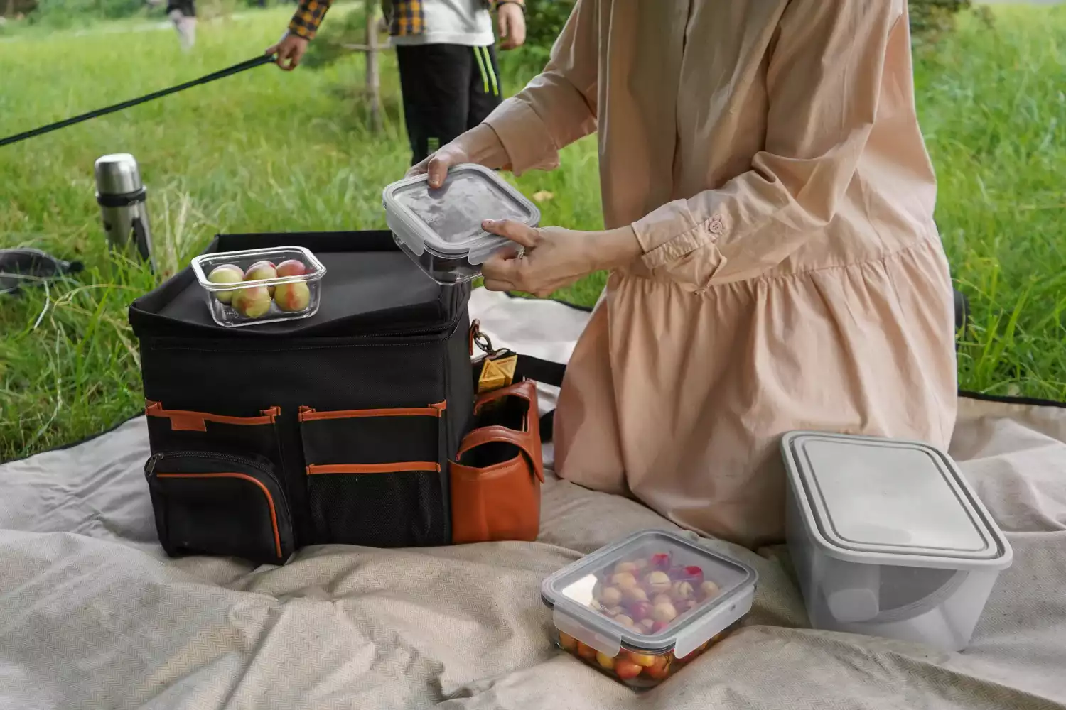 photo picnic blanket