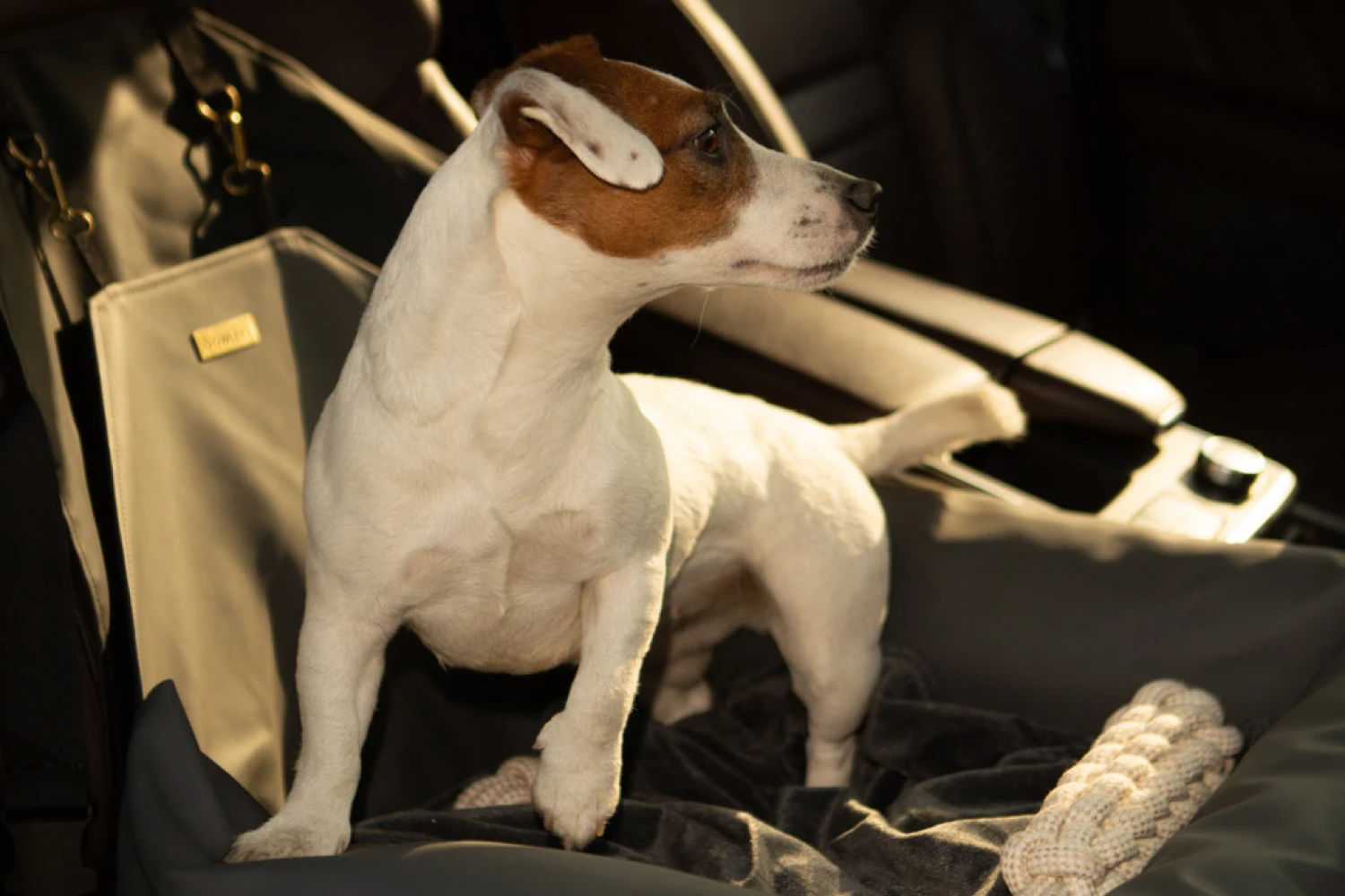 Cadillac XT5 Dog Car Seat for Bull Terriers