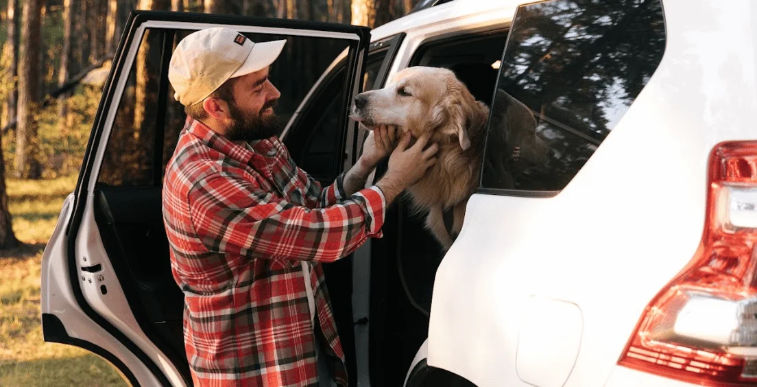 Akitas  Dog Safety Belt for Ford Expedition