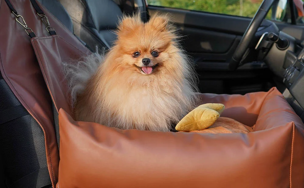 Volkswagen Passat Dog Car Seat for Skye Terriers