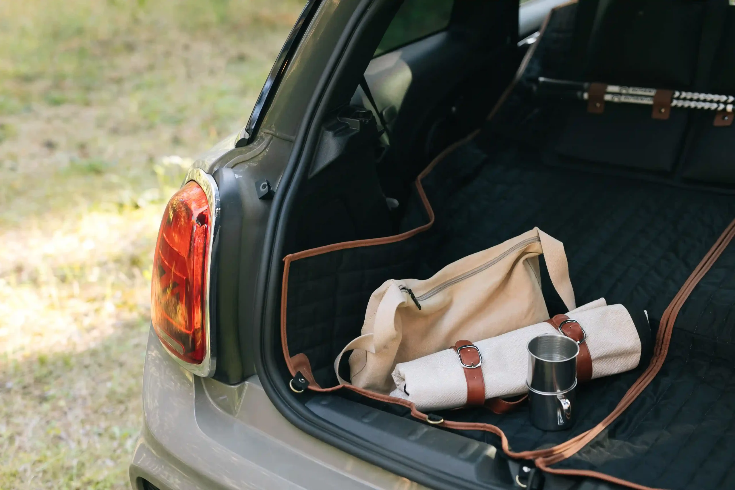 photo picnic blanket